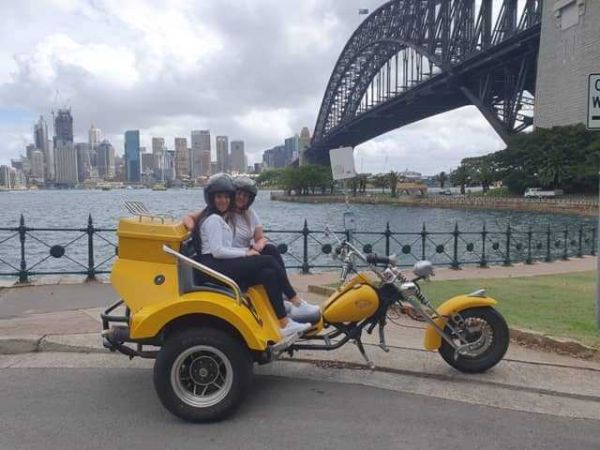 Wild sydney harbour bridge