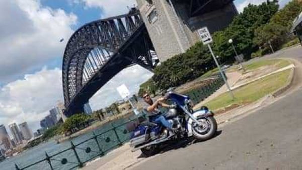 Wild sydney sights tour