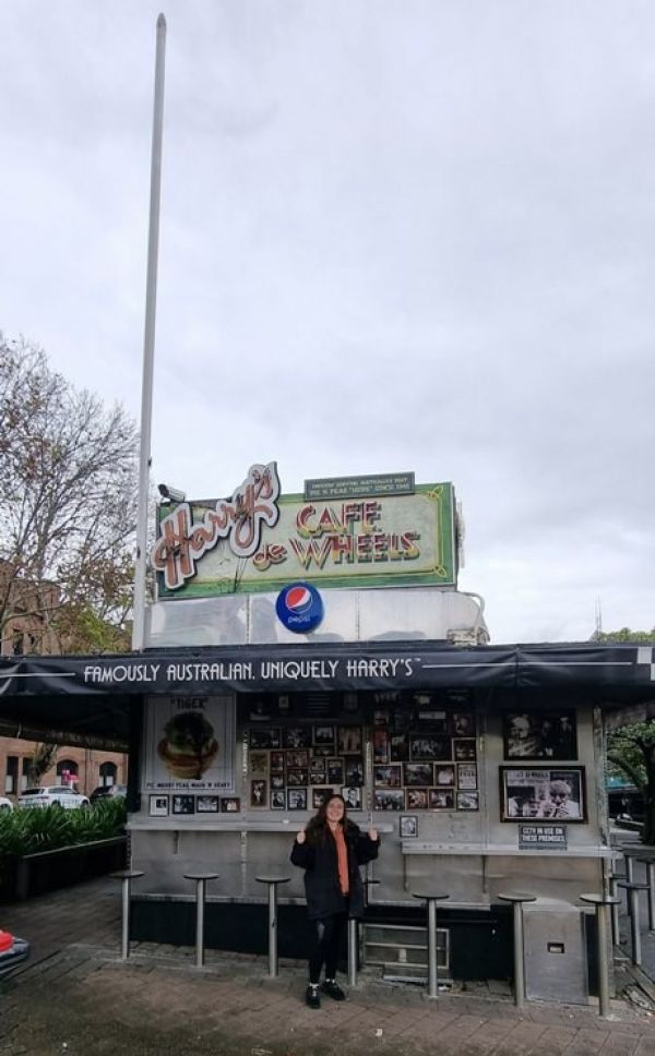 Wild ride australia harley davidson rides tour sydney