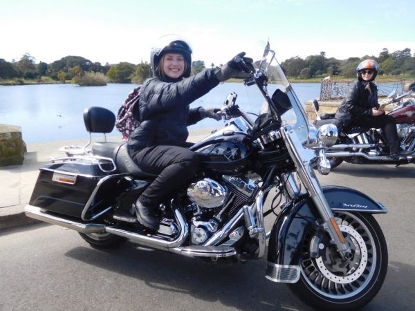 Wild ride australia harley davidson bondi beach rides sydney harbour bridge