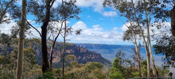 Wild ride australia blue mountains harley tour rides