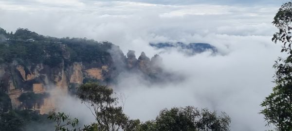 Wild ride blue mountains