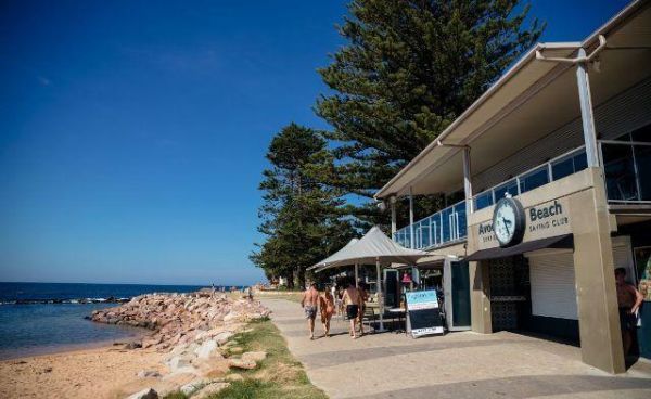 Avoca beach